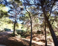 Herverkoop - Plot - Lorca - Lorca Centro