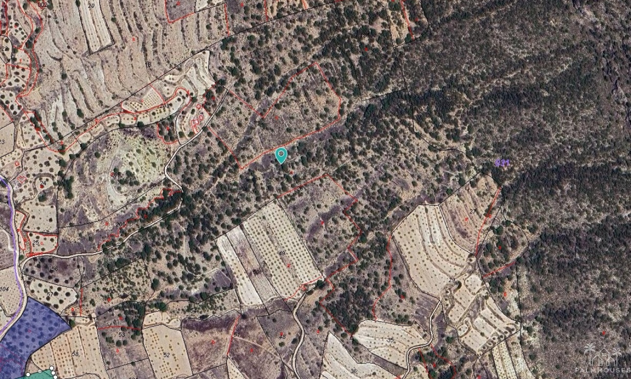 Herverkoop - Plot - Monóvar - Monòver - Monóvar - Monòver Centro