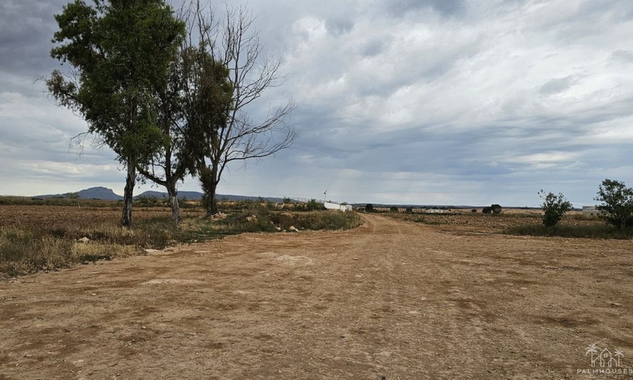 Herverkoop - Plot - Murcia - Sucina
