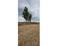 Herverkoop - Plot - Murcia - Sucina