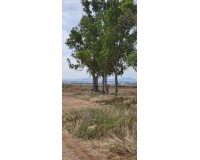 Herverkoop - Plot - Murcia - Sucina