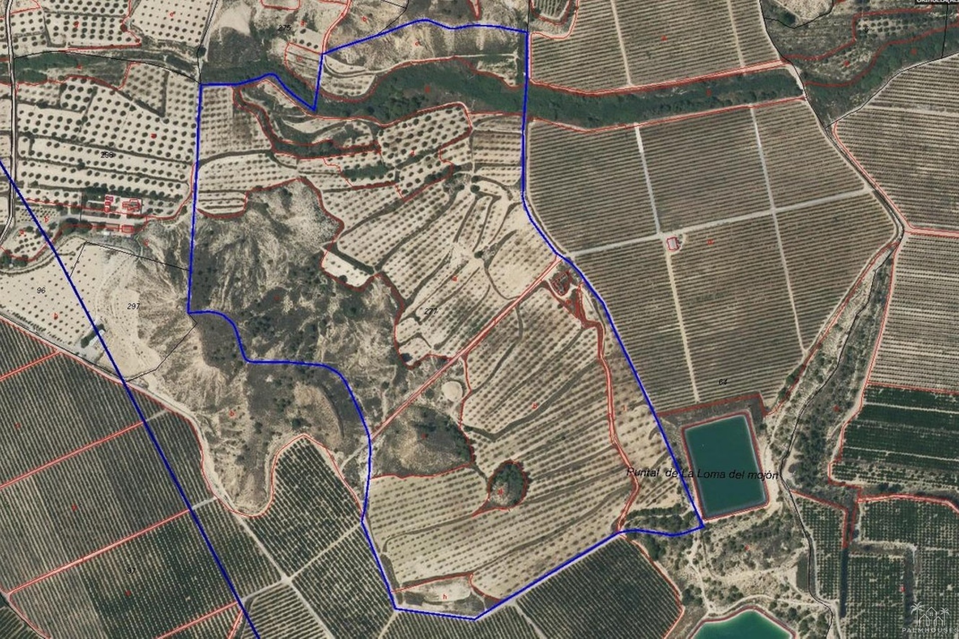 Herverkoop - Plot - Orihuela - Torremendo