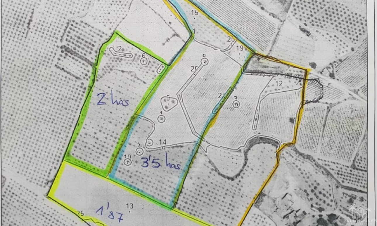 Herverkoop - Plot - Pinoso - Pinoso Centro