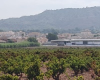 Herverkoop - Plot - Pinoso - Pinoso Centro