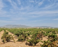 Herverkoop - Plot - Pinoso - Pinoso Centro
