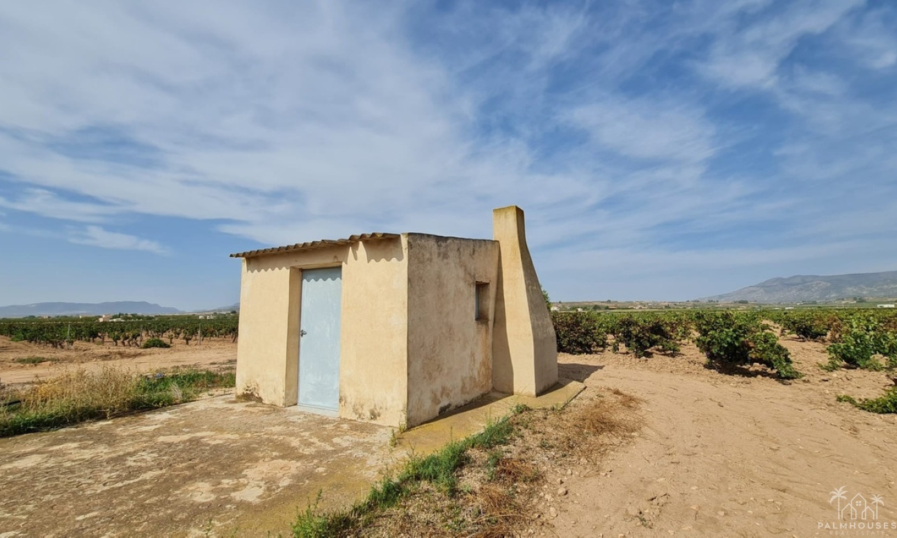 Herverkoop - Plot - Pinoso - Pinoso Centro