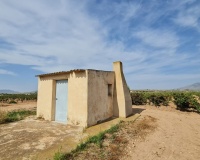 Herverkoop - Plot - Pinoso - Pinoso Centro