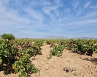 Herverkoop - Plot - Pinoso - Pinoso Centro