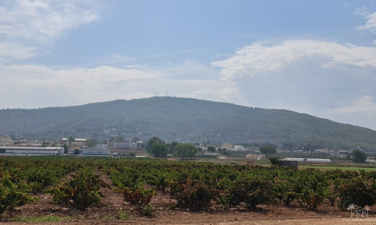 Herverkoop - Plot - Pinoso - Pinoso Centro