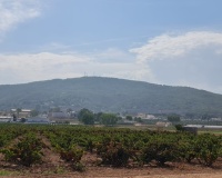 Herverkoop - Plot - Pinoso - Pinoso Centro