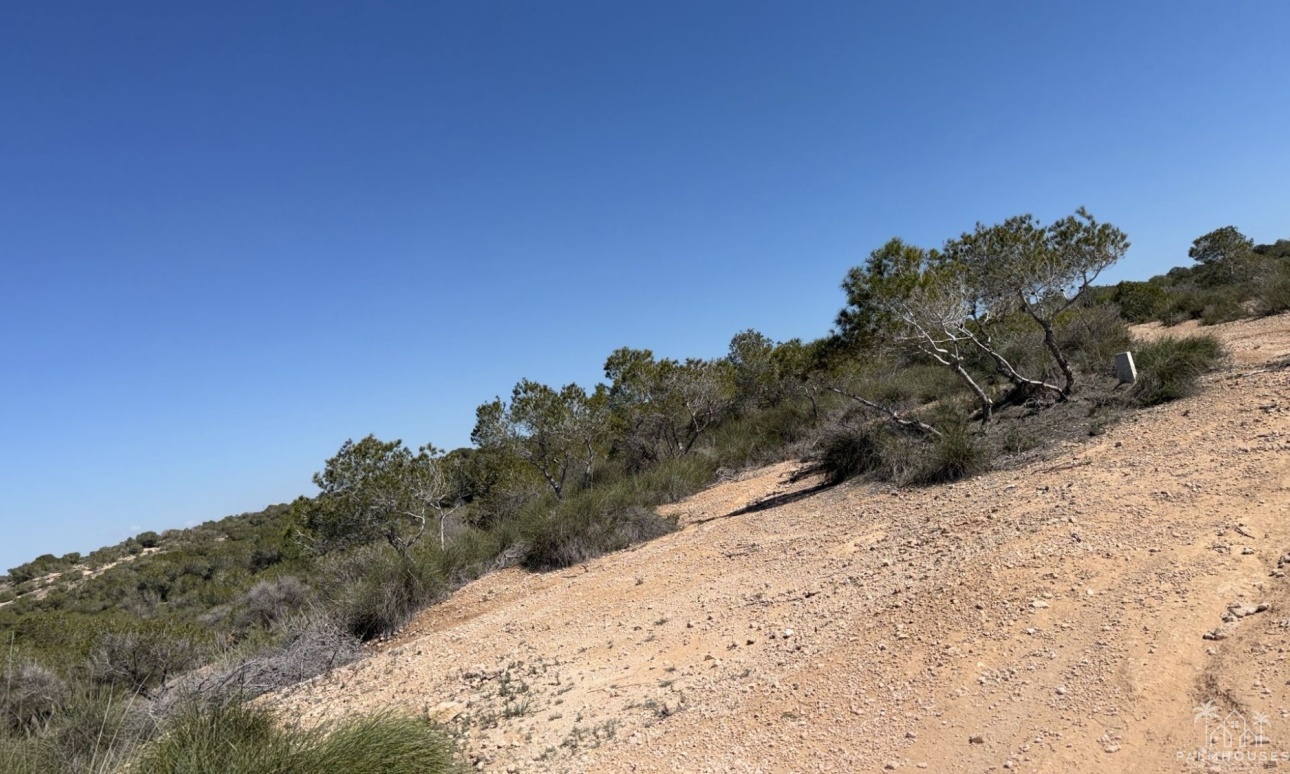 Herverkoop - Plot - San Fulgencio - La Marina