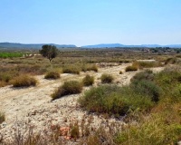 Herverkoop - Plot - San Miguel de Salinas - San Miguel de Salinas Centro