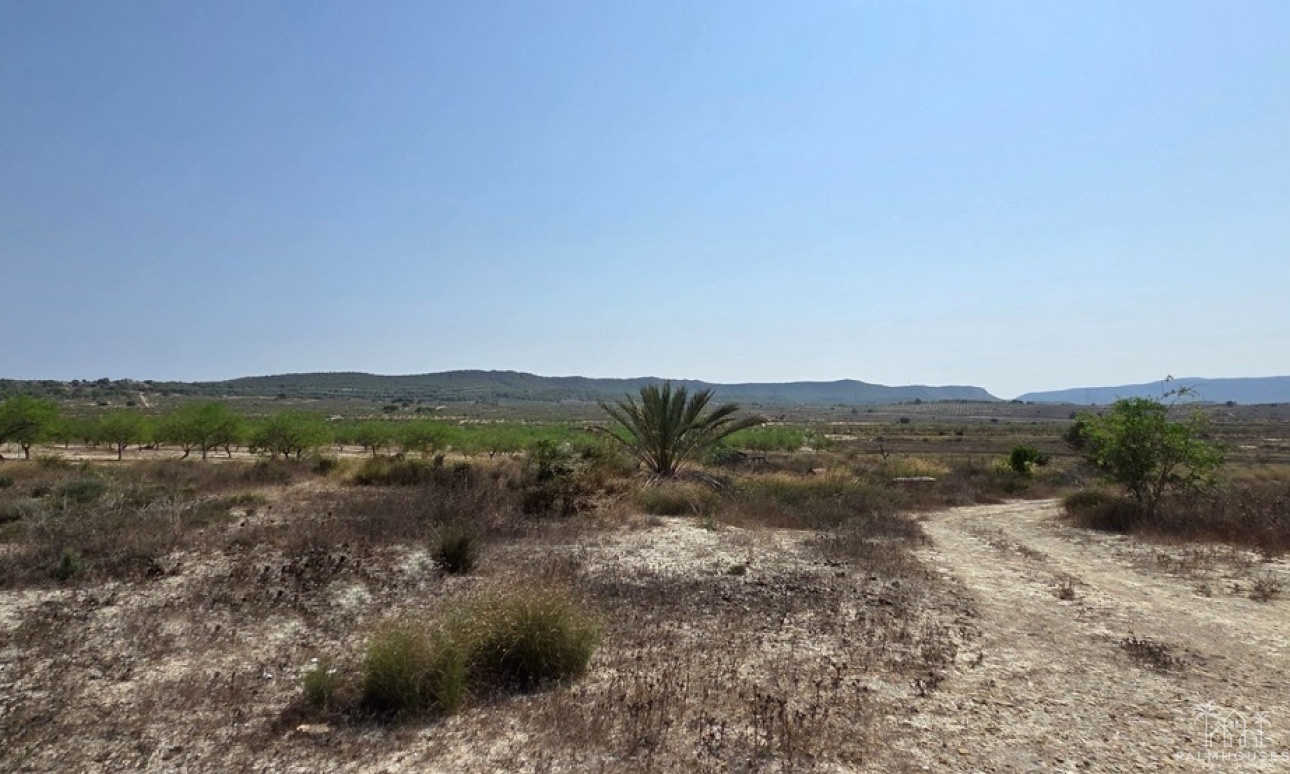 Herverkoop - Plot - San Miguel de Salinas - San Miguel de Salinas Centro