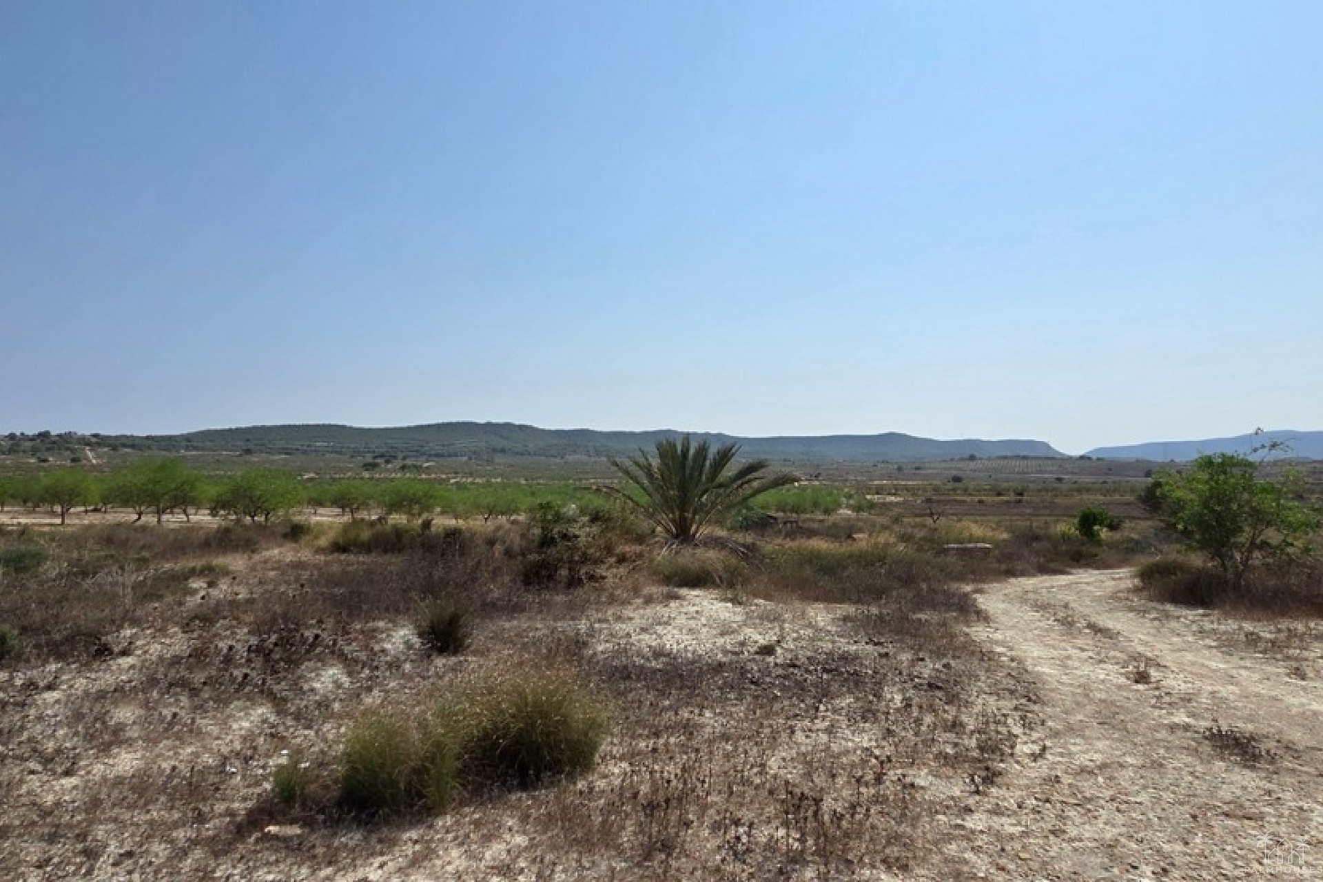 Herverkoop - Plot - San Miguel de Salinas - San Miguel de Salinas Centro