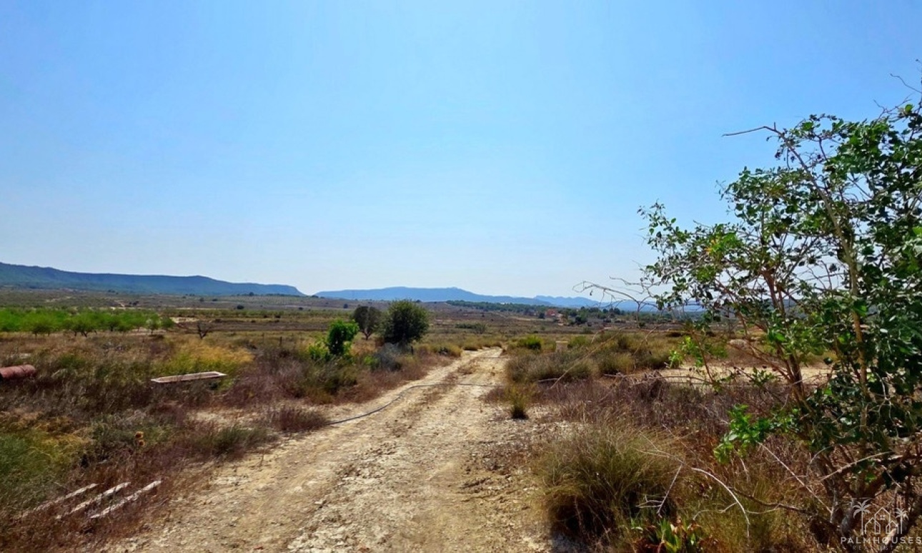 Herverkoop - Plot - San Miguel de Salinas - San Miguel de Salinas Centro