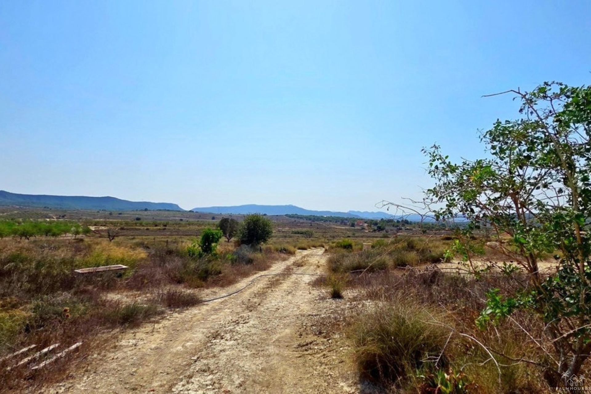 Herverkoop - Plot - San Miguel de Salinas - San Miguel de Salinas Centro