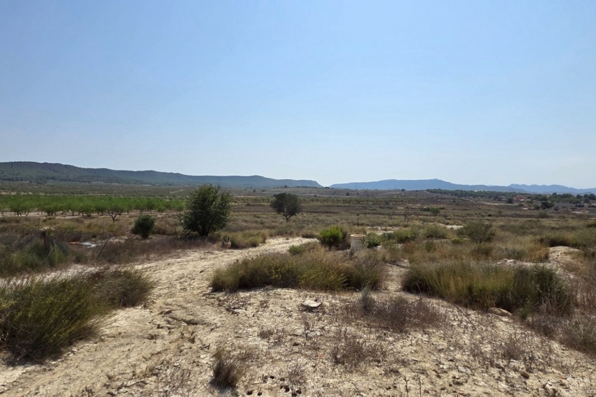 Herverkoop - Plot - San Miguel de Salinas - San Miguel de Salinas Centro