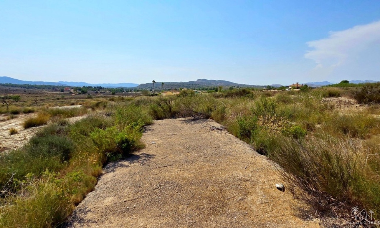 Herverkoop - Plot - San Miguel de Salinas - San Miguel de Salinas Centro