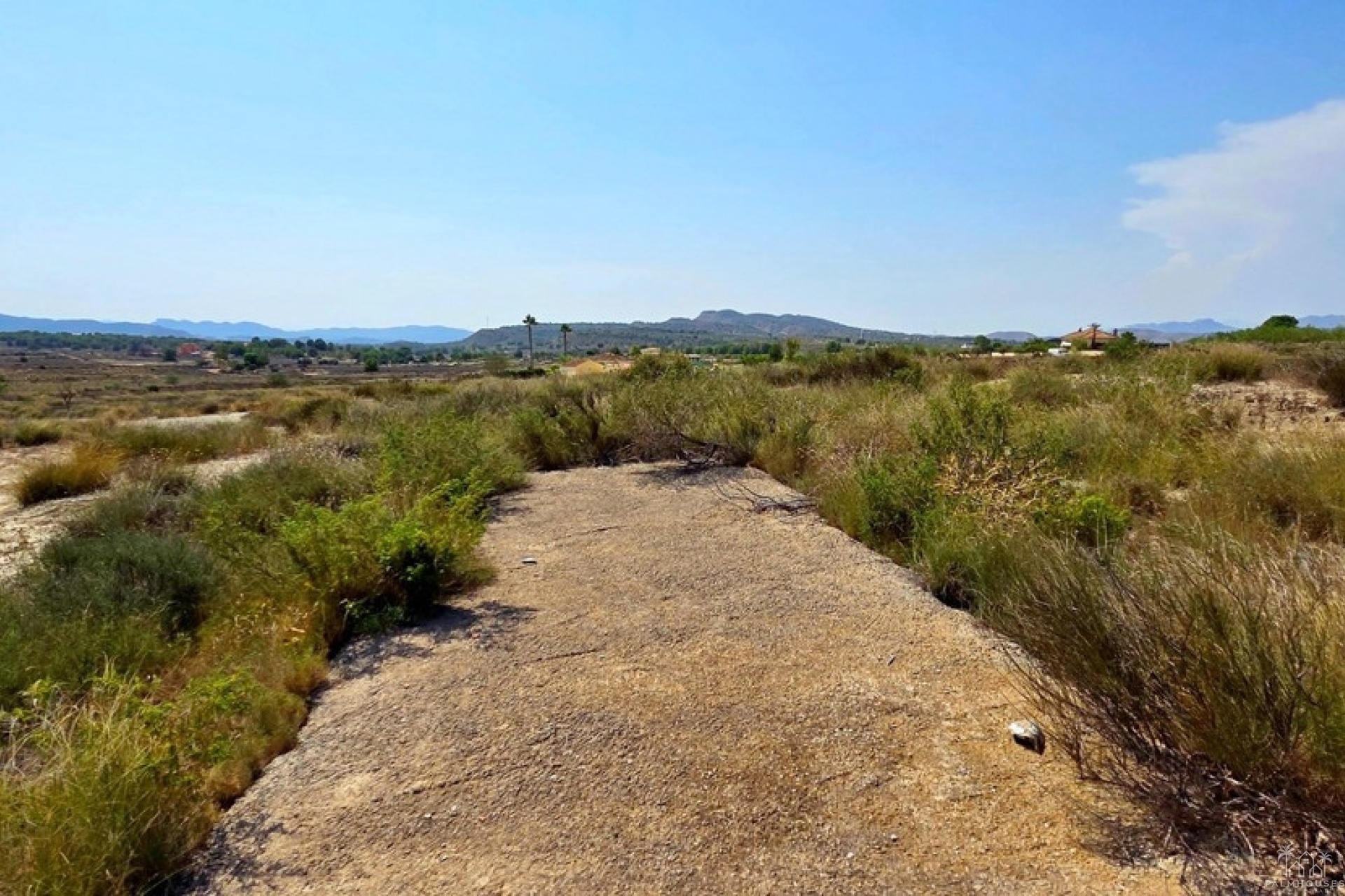 Herverkoop - Plot - San Miguel de Salinas - San Miguel de Salinas Centro