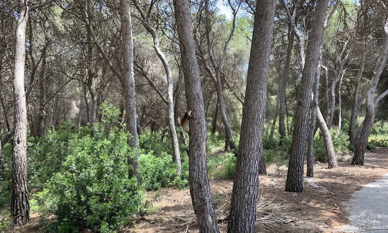 Herverkoop - Plot - Teulada - Moraira