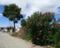 Herverkoop - Plot - Teulada - Teulada Centro