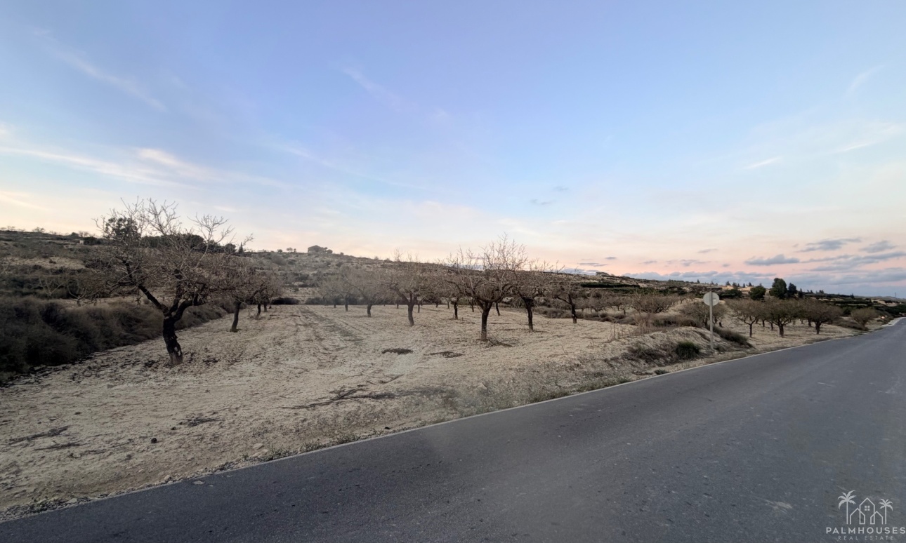 Herverkoop - Plot - Torremendo - Costa Blanca