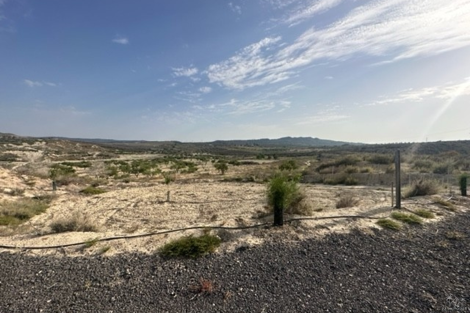 Herverkoop - Plot - Torremendo