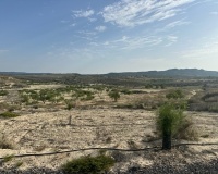 Herverkoop - Plot - Torremendo