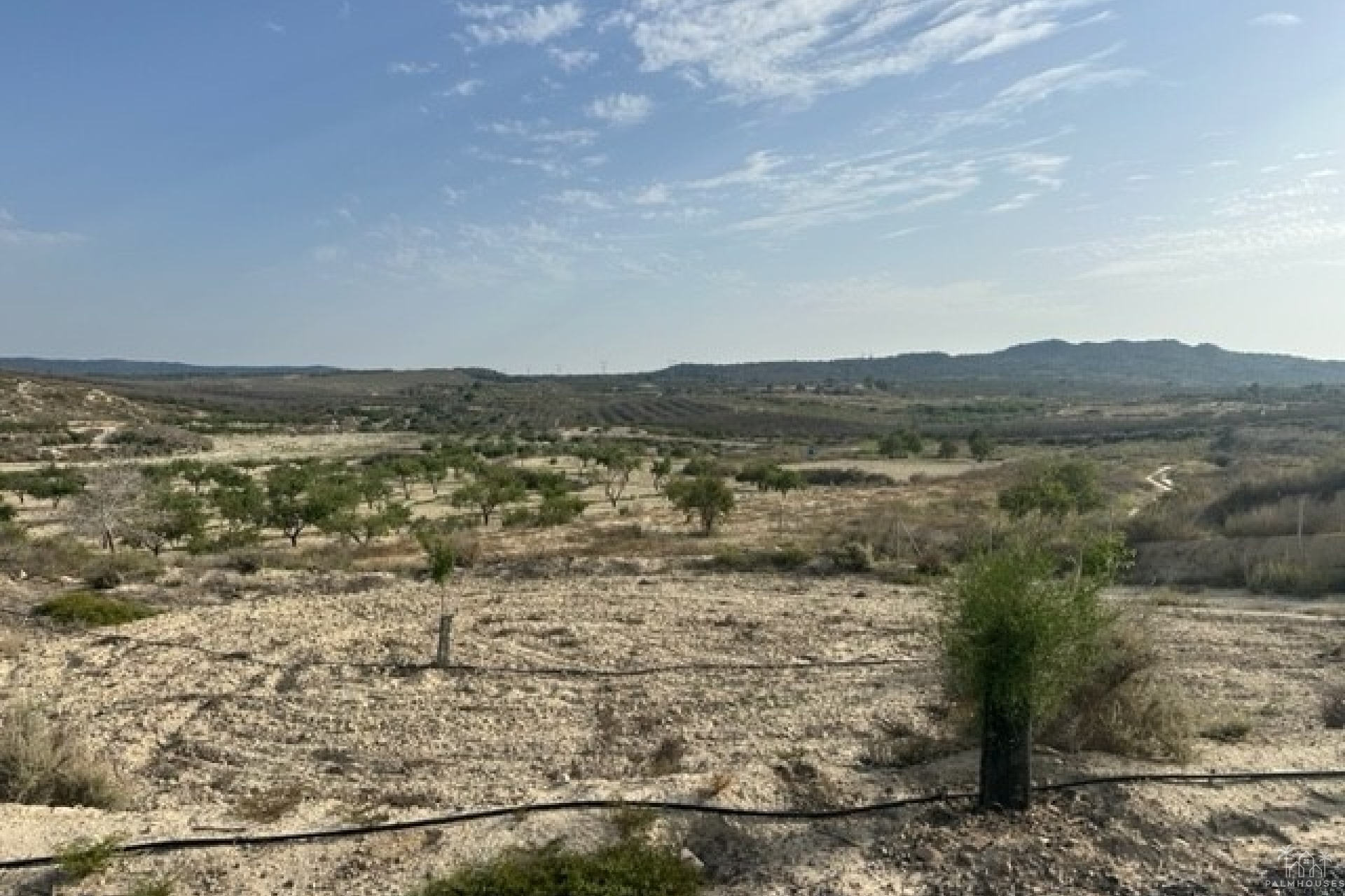 Herverkoop - Plot - Torremendo