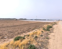 Herverkoop - Plot - Villena - Villena Centro