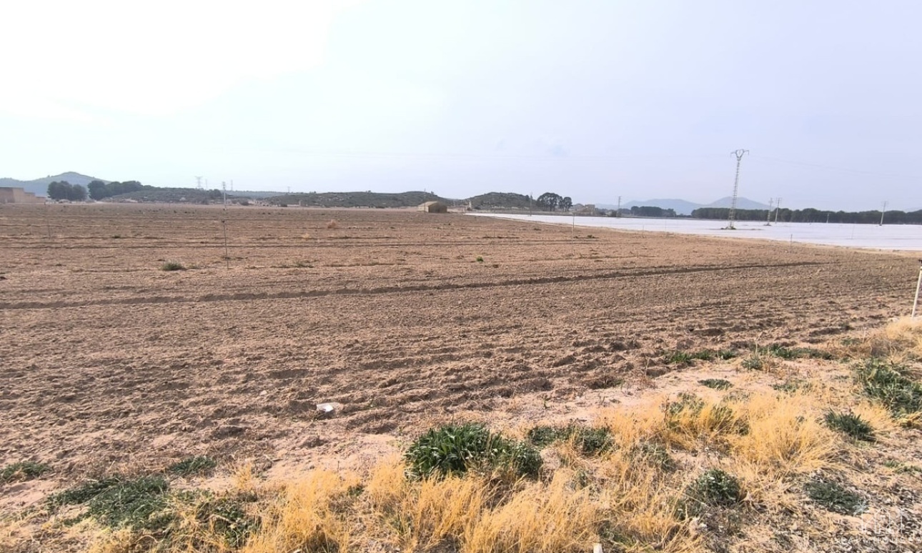 Herverkoop - Plot - Villena - Villena Centro