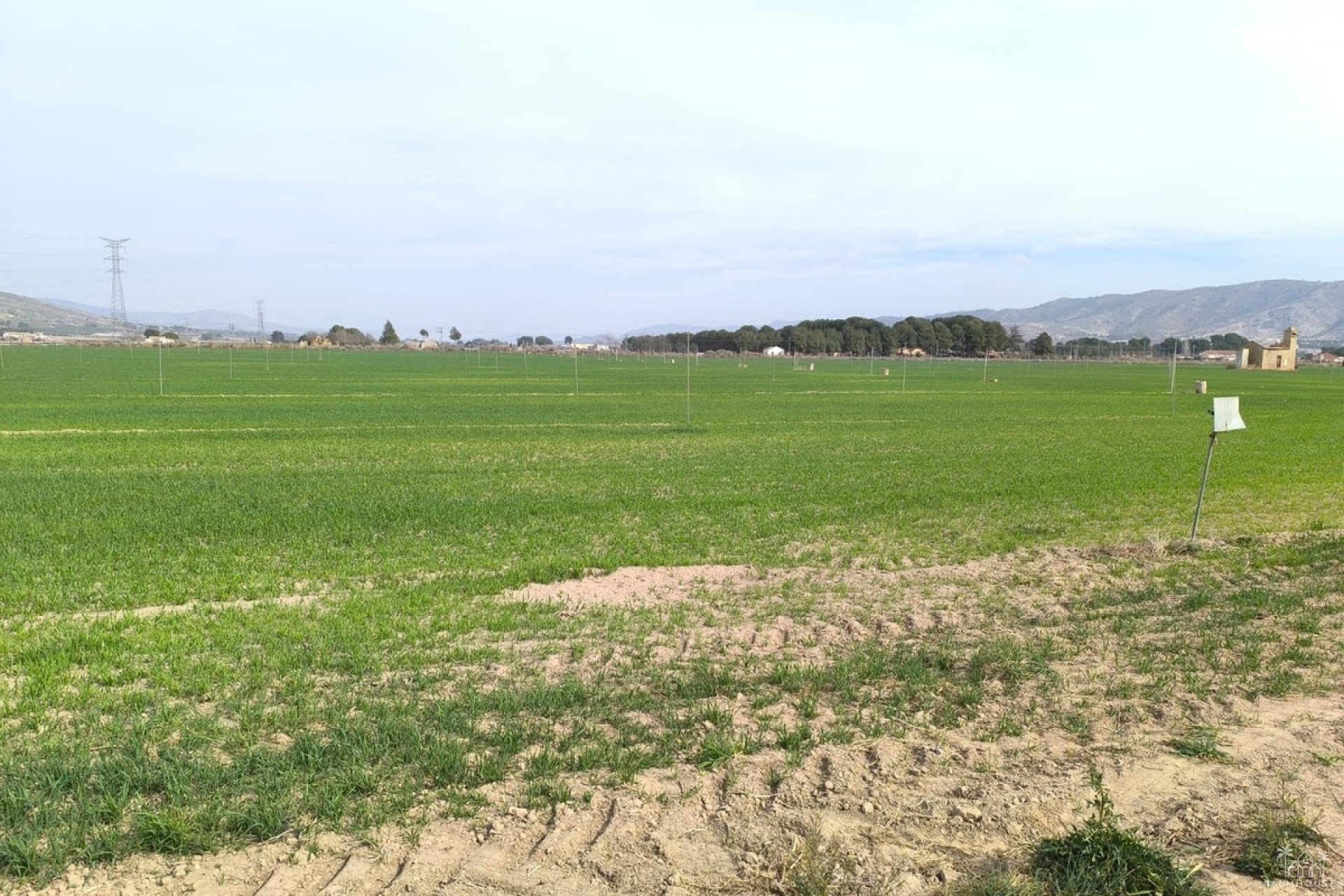 Herverkoop - Plot - Villena - Villena Centro