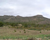 Herverkoop - Plot - Yecla - Yecla Centro