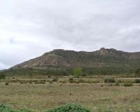 Herverkoop - Plot - Yecla - Yecla Centro