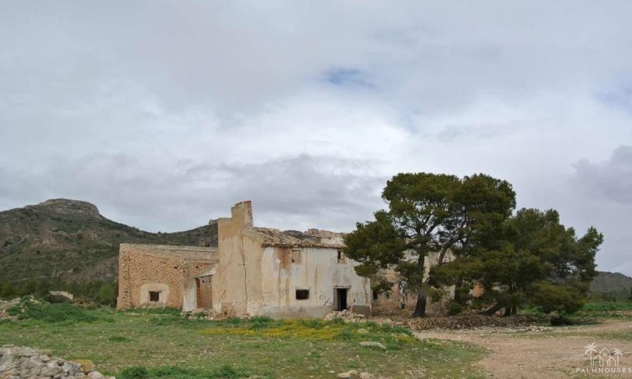 Herverkoop - Plot - Yecla - Yecla Centro