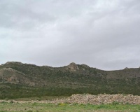 Herverkoop - Plot - Yecla - Yecla Centro