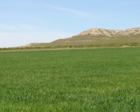 Herverkoop - Plot - Yecla - Yecla Centro