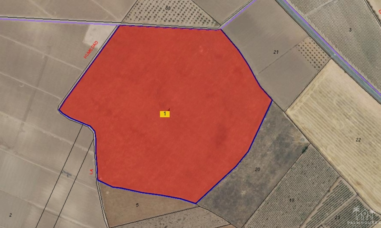 Herverkoop - Plot - Yecla - Yecla Centro