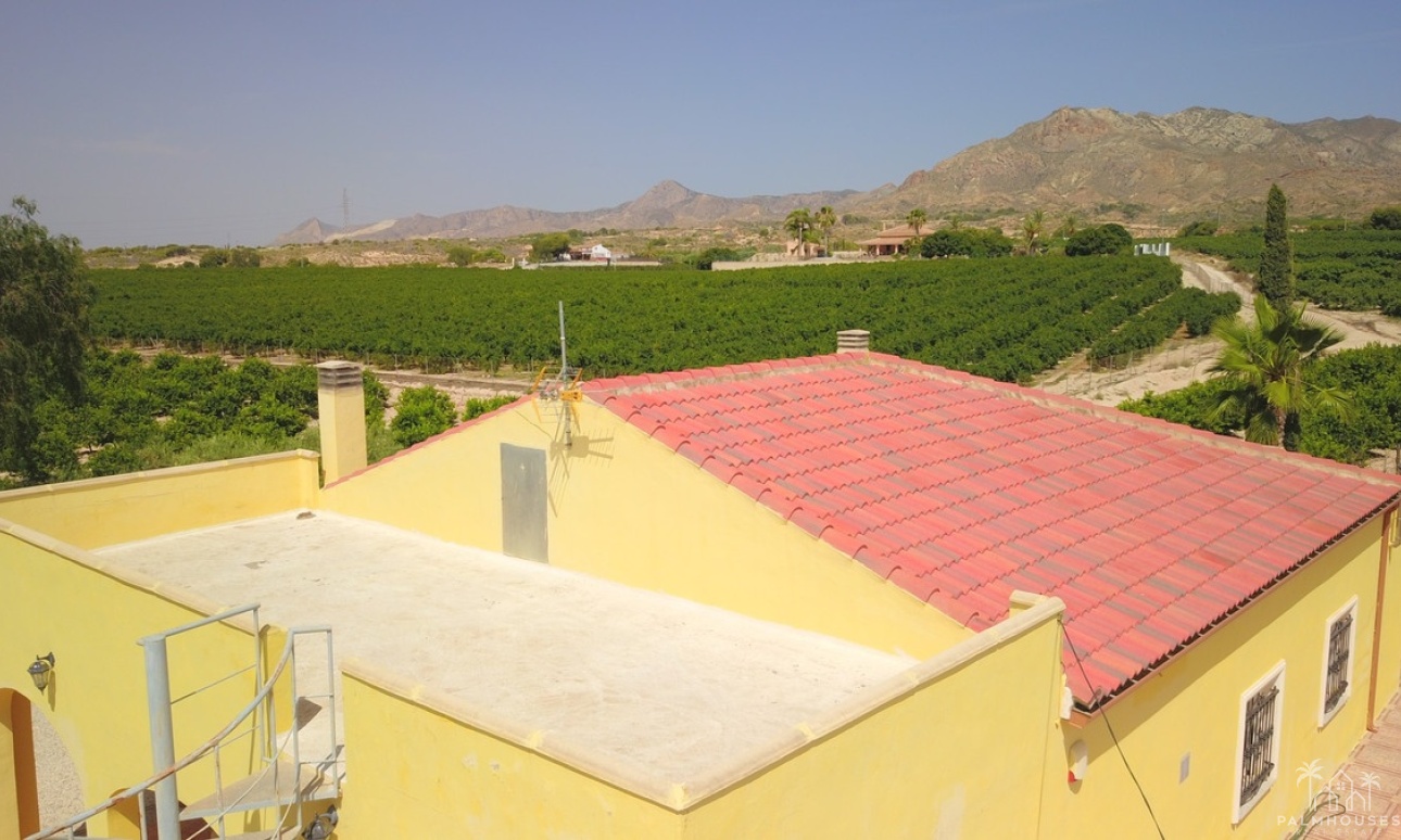 Herverkoop - Villa - Albatera - Albatera Centro