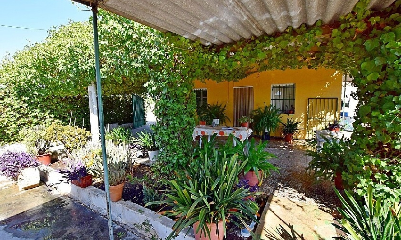 Herverkoop - Villa - Albatera - Albatera Centro