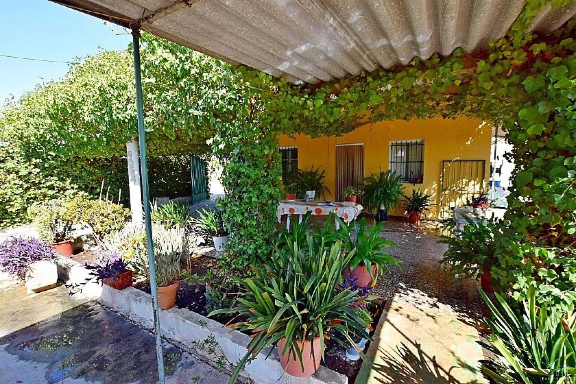 Herverkoop - Villa - Albatera - Albatera Centro