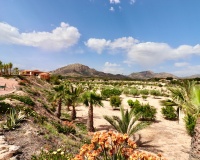 Herverkoop - Villa - Albatera - Albatera Centro