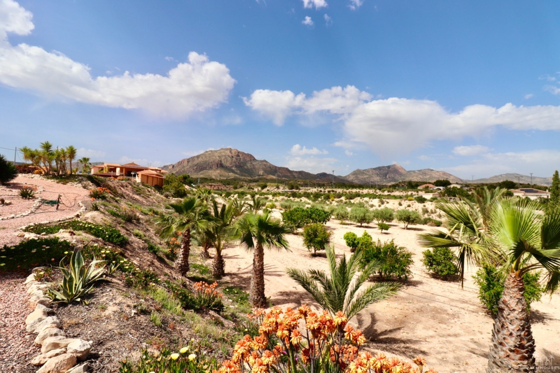 Herverkoop - Villa - Albatera - Albatera Centro
