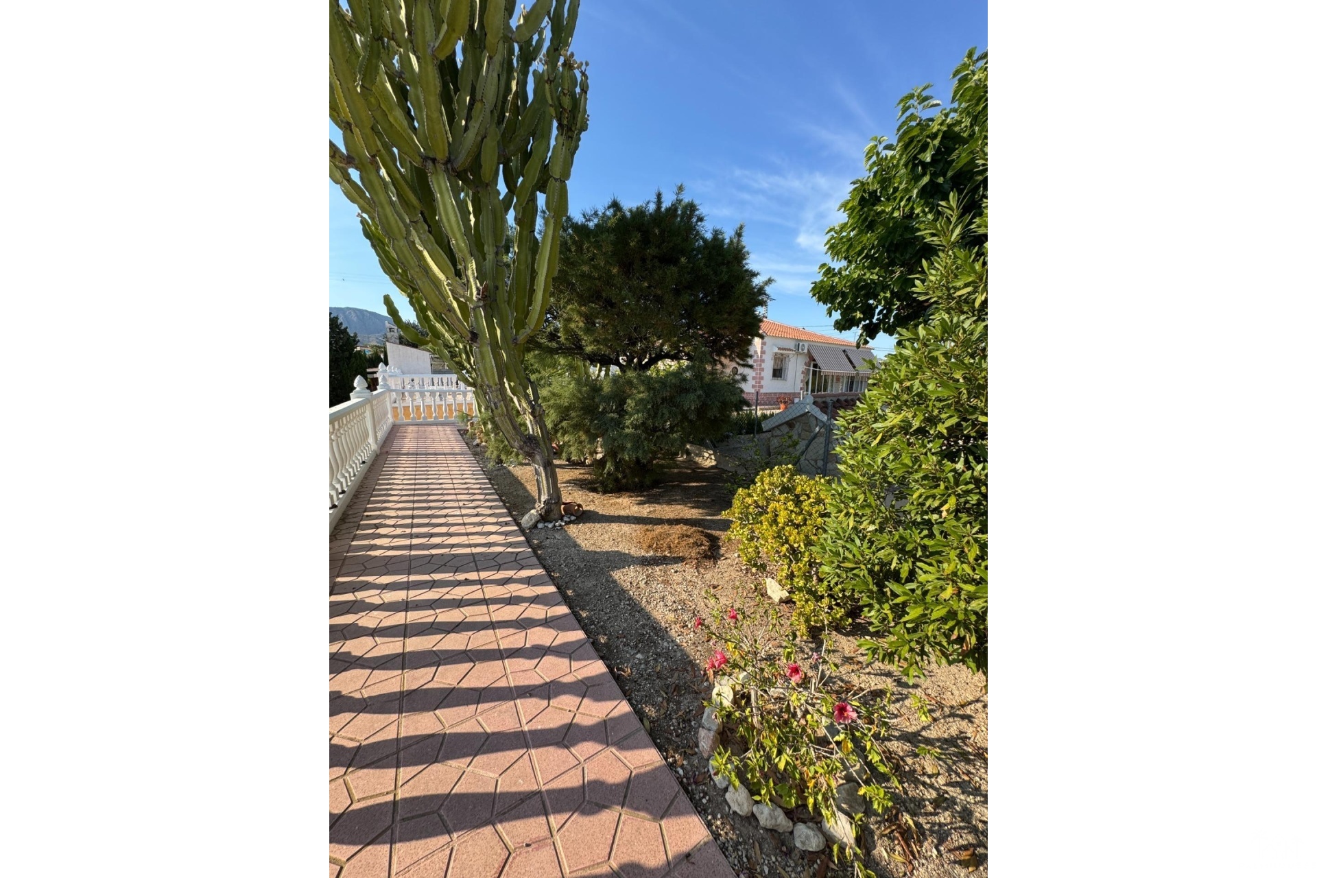 Herverkoop - Villa - Albatera - Partida Lomas