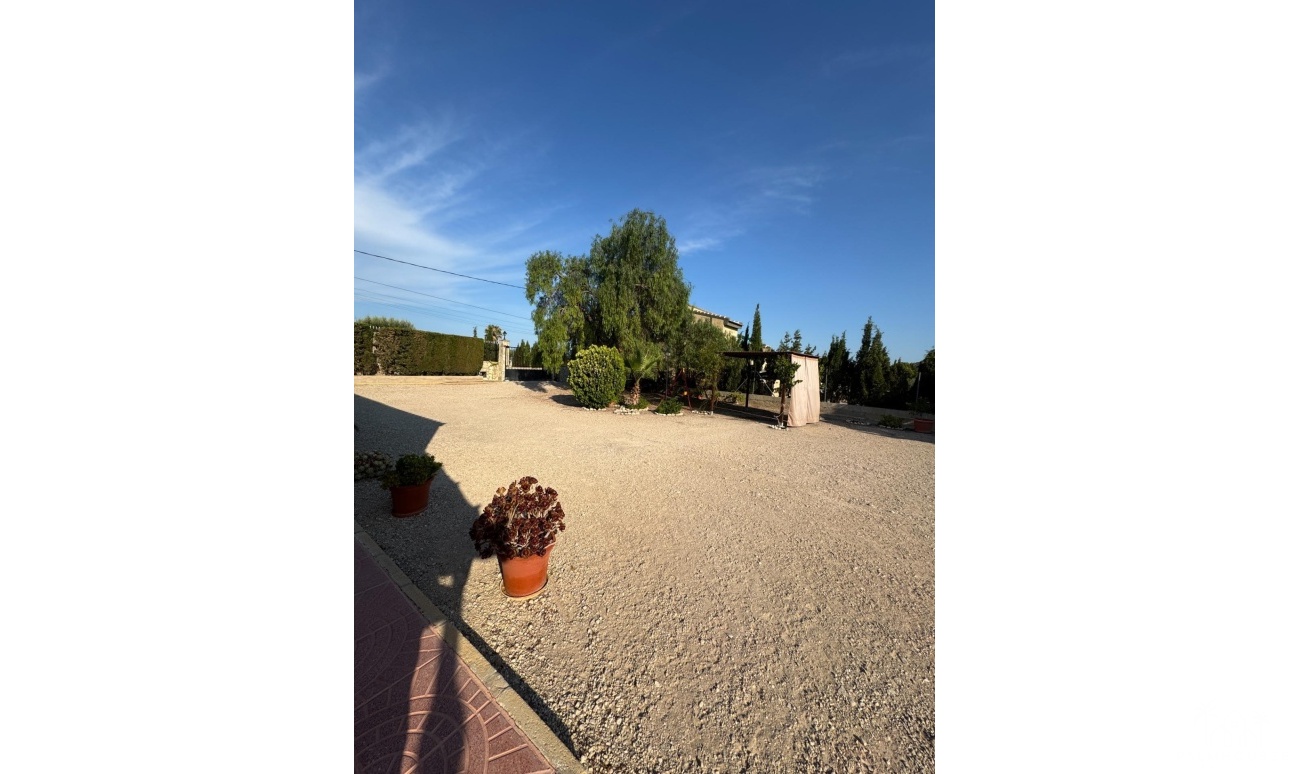 Herverkoop - Villa - Albatera - Partida Lomas