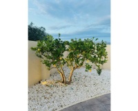 Herverkoop - Villa - Alfaz del Pi - Costa Blanca