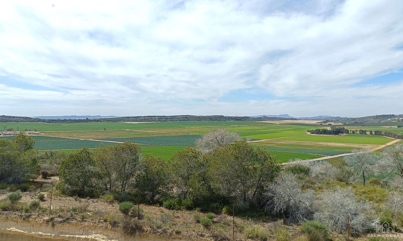 Herverkoop - Villa - Algorfa - Inland