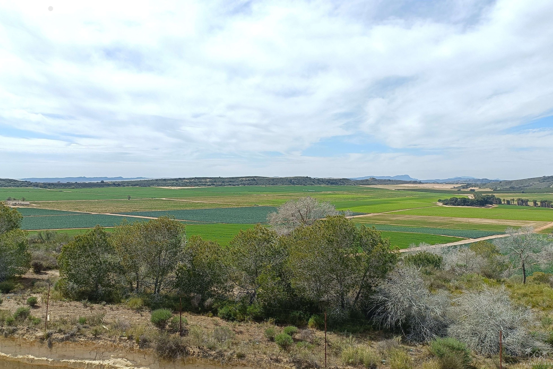 Herverkoop - Villa - Algorfa - Inland