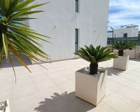Herverkoop - Villa - Algorfa - Inland