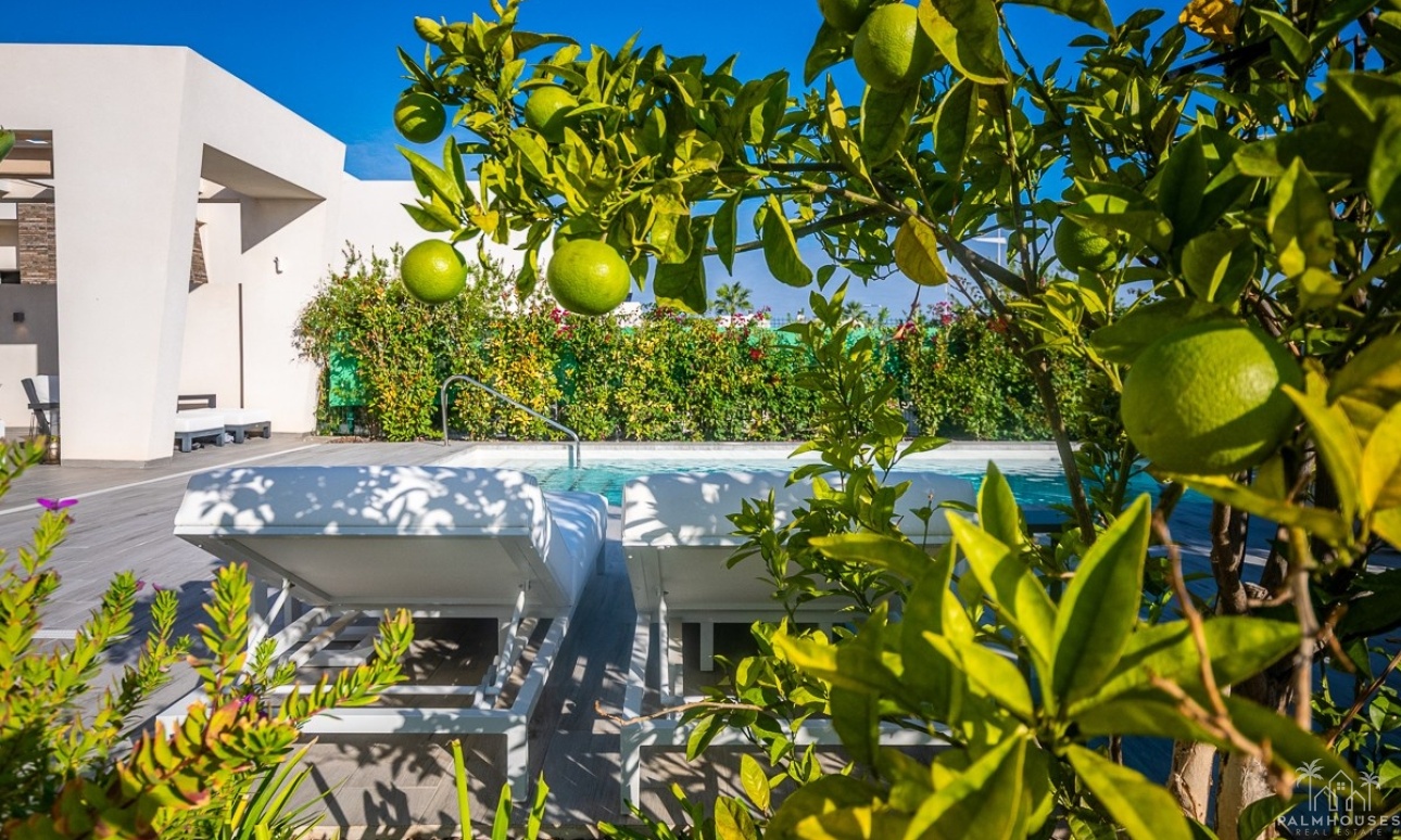 Herverkoop - Villa - Algorfa - Inland